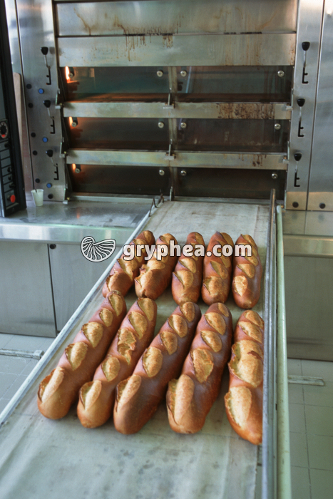 Four et pain cuit - gryphea.com